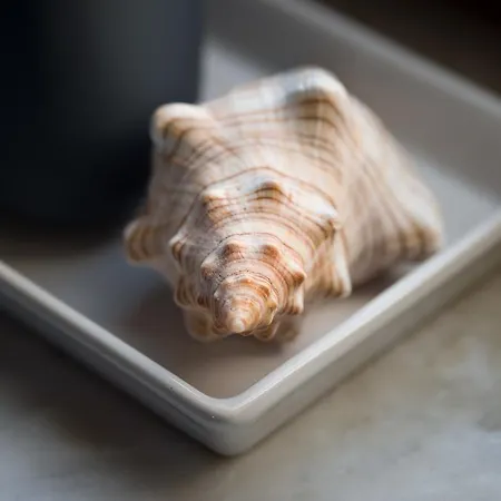 Appartement Centre *